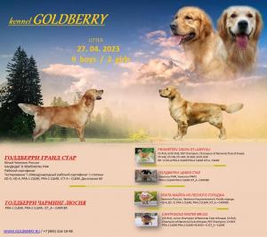 Puppies in Goldberry Kennel