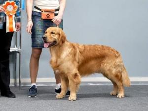 Голдберри Ия Милисса Голдберри Ия Милисса