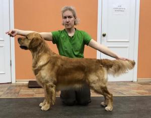 Голдберри Яркий Огонь Голдберри Яркий Огонь