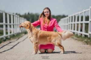 Голдберри Лотус Голдберри Лотус